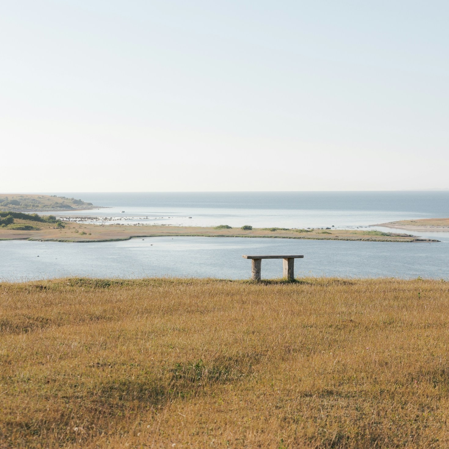 How Our Conservation Efforts Protect The Island